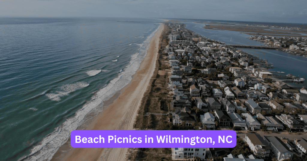 Beach Picnics in Wilmington, NC